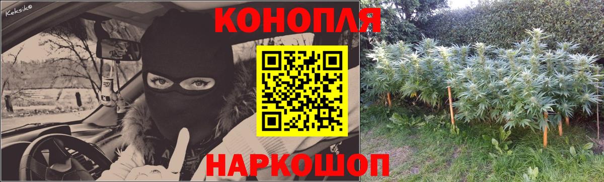 Галлюциногенные грибы Качканар
